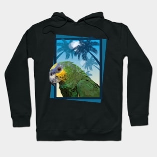 Amazonian amazon Hoodie